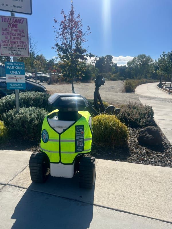 Dax robot spotted in the field, #ifounddax photo 70